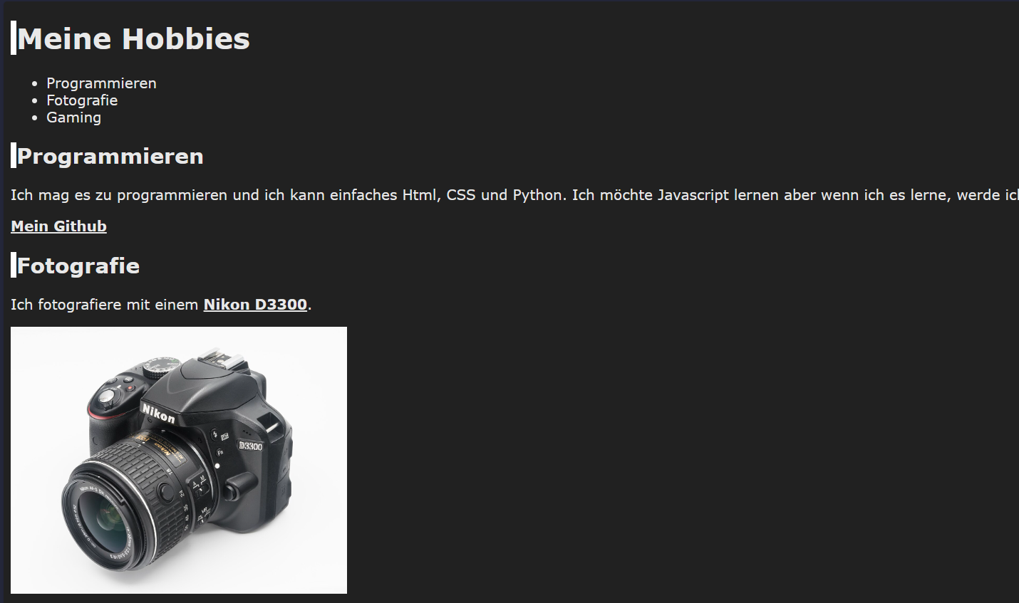 Landing Page of https://andpan3.github.io/GoogleWebsite/