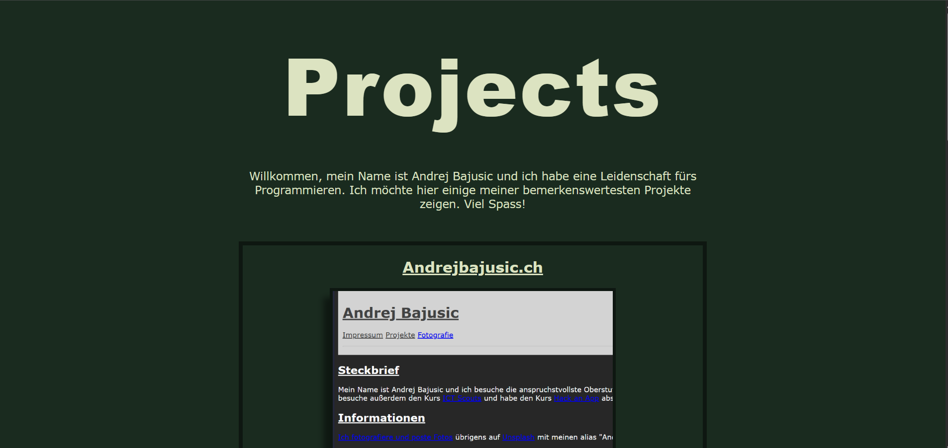 Landing Page of https://andpan3.github.io/Projects/